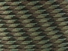 multicam